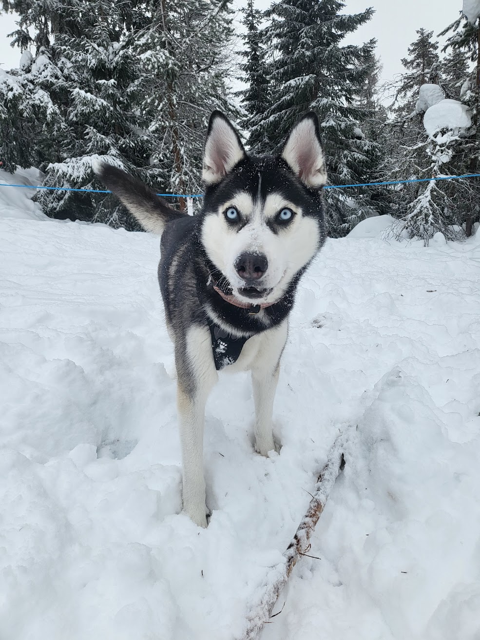 Luna
